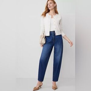 Ann Taylor Barrel Blue Women Jeans